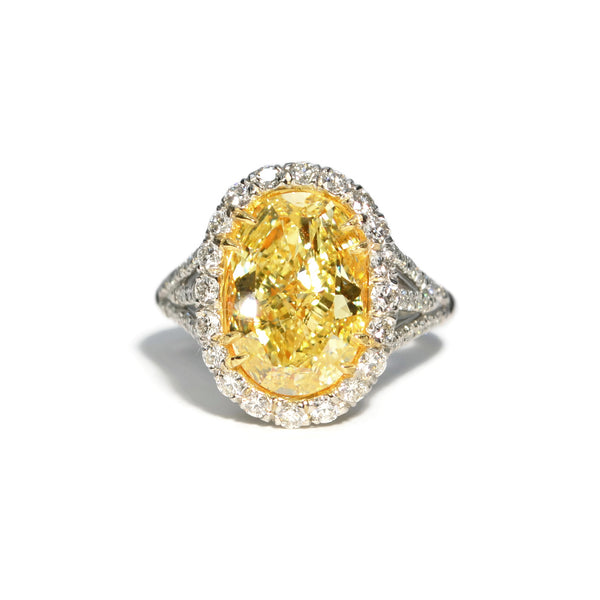 afj-diamond-collection-one-of-a-kind-cocktail-ring-natural-fancy-yellow-diamond-white-diamonds-platinum-AR1690