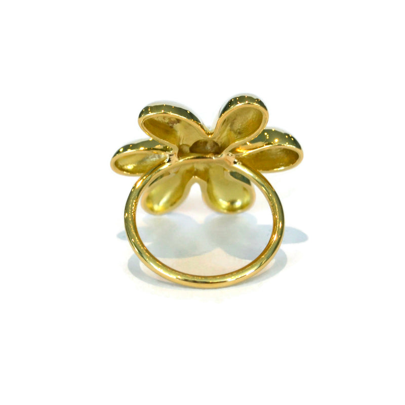 afj-gold-collection-ring-18k-yellow-gold-335M