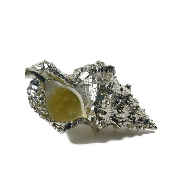 buccellati-sea-bursa-bobo-large-seashell-silver-sagdec010754