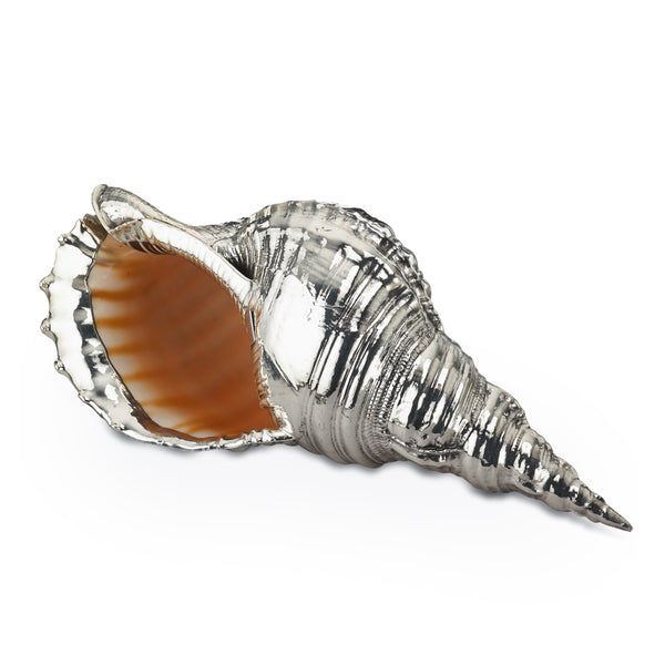 buccellati-sea-charonia-tritonis-seashell-silver-sagdec010727