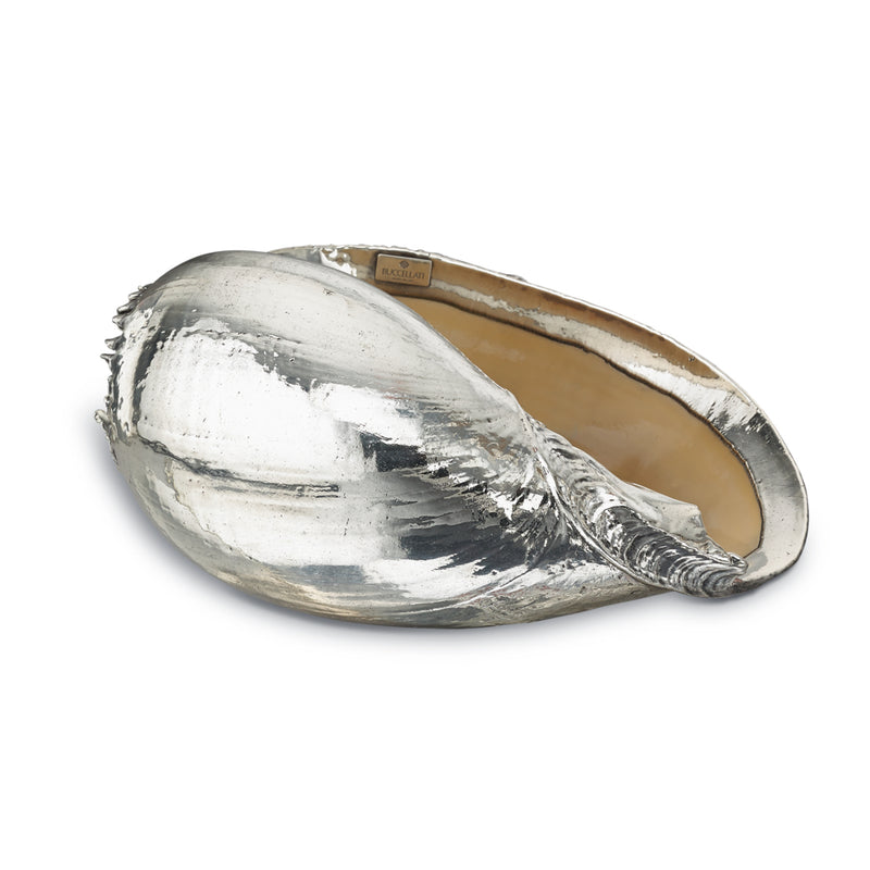 buccellati-sea-large-melo-diadema-seashell-silver-sagdec010610