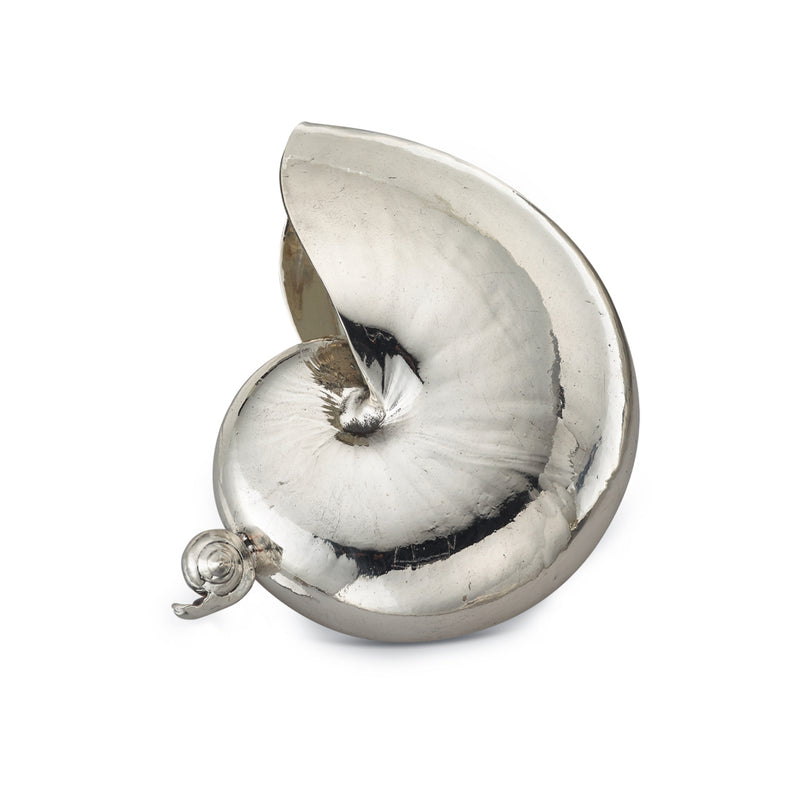 buccellati-sea-medium-nautilus-seashell-silver-sagdec010616