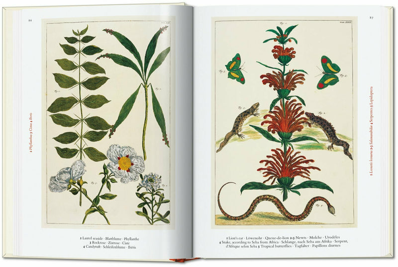 taschen-books-seba-cabinet-of-natural-curiosities-9783836587884