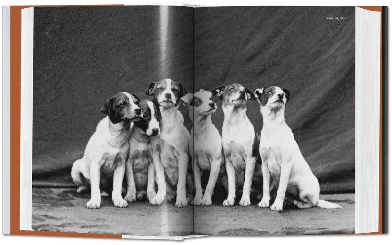 taschen-books-the-dog-in-photography-1839-today-9783836567473